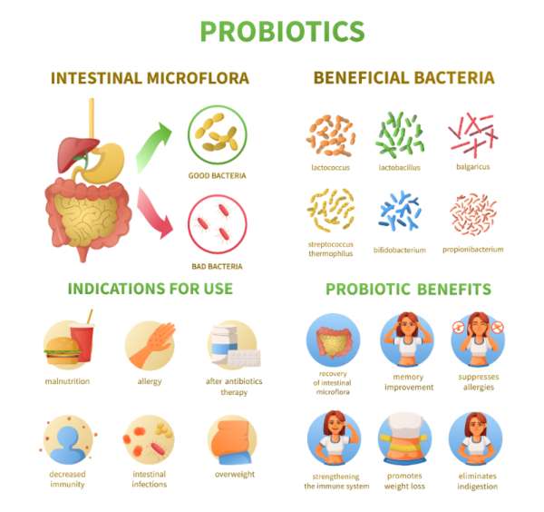 Nigerian foods high in probiotics